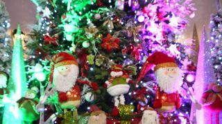 タイルが美しい