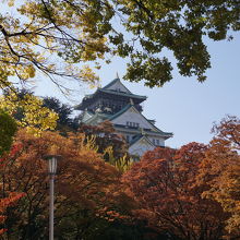 この辺りからようやく天守閣が見えてきた