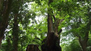 熱海のパワースポット