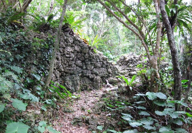 熱帯植物に埋もれた城址