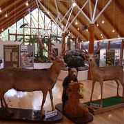 糠平温泉にある資料展示館