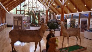 糠平温泉にある資料展示館