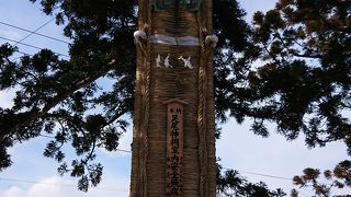 木に括りつけられた長いわらじ