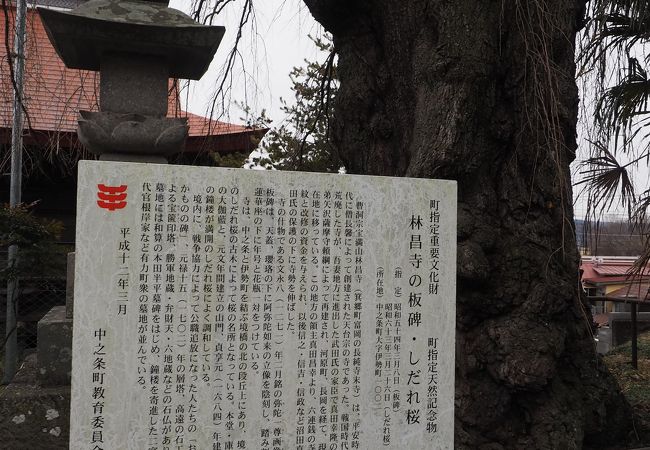 真田ゆかりの寺