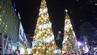 クリスマスの飾り付け