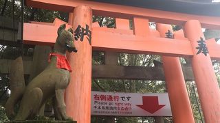 キツネさんがお出迎え