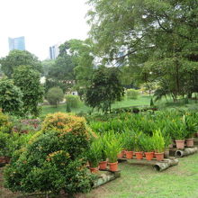 植物の栽培もしているようです