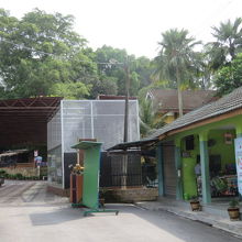 入口を入りました