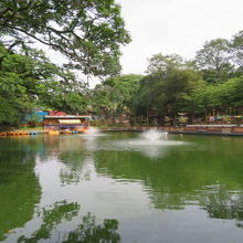 園内には池もあります