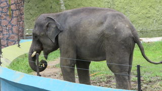 ゆっくり見ることが出来ました