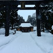 新庄の中心地にある城跡で，現在は公園になっています