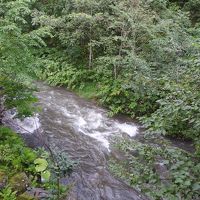 お部屋からの眺望