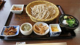 白川沿いで年越しそば