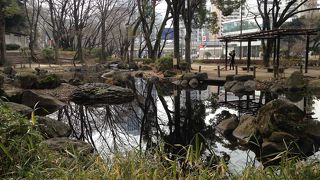 東京タワーに近い都会のオアシス