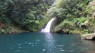 亜熱帯の森に囲まれた場所にある美しい滝