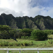 映画のロケ地で有名！広大な自然保護区！