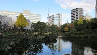 ゆったりした開放感のある空間が広がっていました。