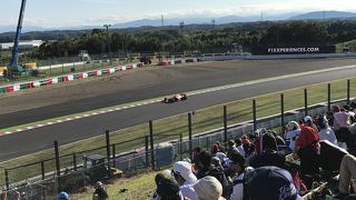 F1はコスパがいい