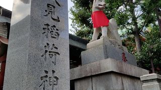 108匹の狐のポーズに癒される