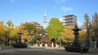 関東大震災や先の大戦での惨禍の記憶をとどめる場所です。