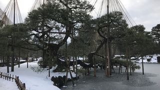 日本三名園の一つ