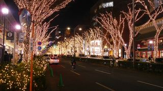 イルミとお店と。