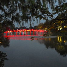 祠のライトアップもきれいです。