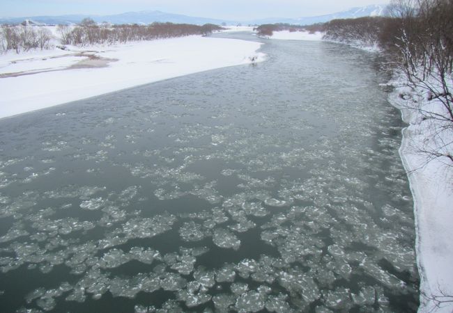 冬、歩道から流氷？のような塊を眺められた