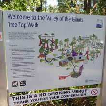 案内標識、森の中の散歩を楽しめます