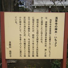 戦災いちょう説明