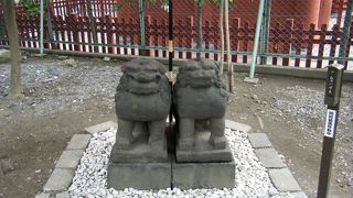 仲のいいカップル