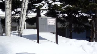 雪で埋まっていました（涙）