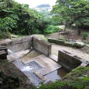 湧水が流れています