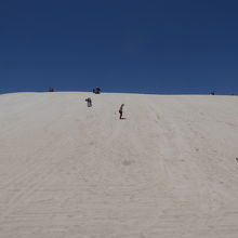砂丘は20-30m程度の盛り上がりがあり、上まで登れます