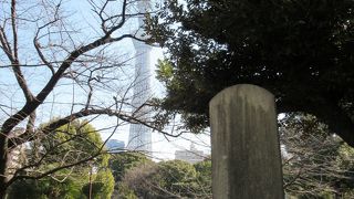 薄くて読めませんでした