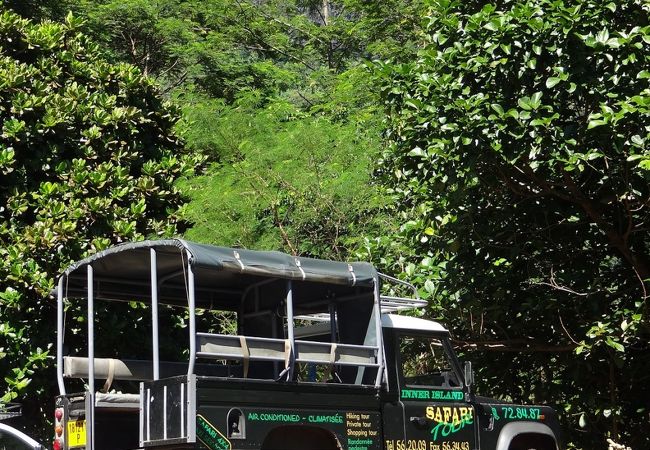 サファリツアー (モーレア島)