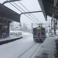 大雪で気付いたら間引きされてた笑