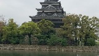 広島市民に愛される鯉城