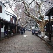 府山公園周辺は見どころがあります