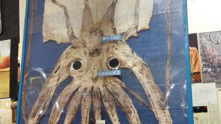 お食事もお買い物もそして世界最大のスルメ