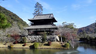 堀の方から見ると美しい