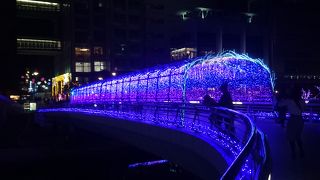 イルミネーションになると光のトンネルになります。