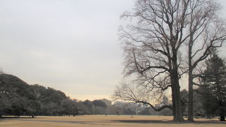 広～い空を独り占め。