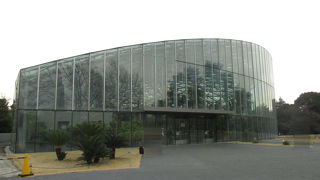 冬にはホッとします。