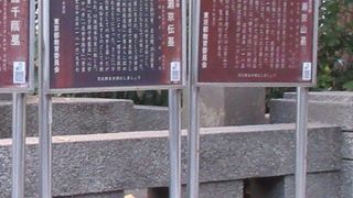 時間の限られた旅行者がわざわざ探して訪れるスポットではないと思いました。