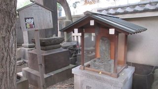 鶴の恩返しならぬ猫の恩返し。