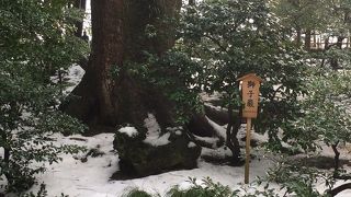 獅子の形をした岩