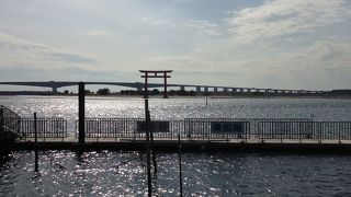 ゆっくり眺めるなら今でしょ