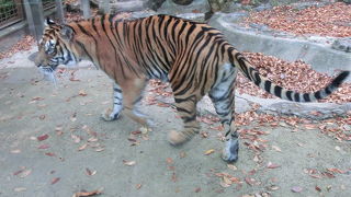 少しずつ新しくなっている