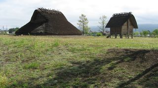 太古のロマン現れる